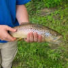 noahpicker8